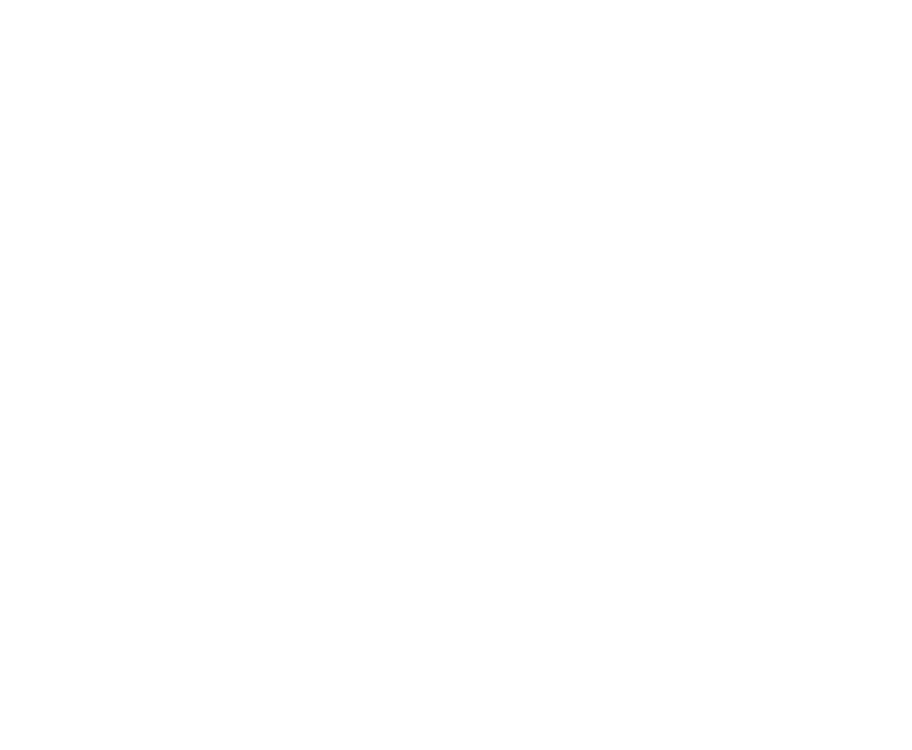 Logo Foto Dizajn Savić – kreativna fotografija i dizajn